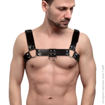  Feral Feelings       . - Bulldog Harness Black (SO9411~22)
