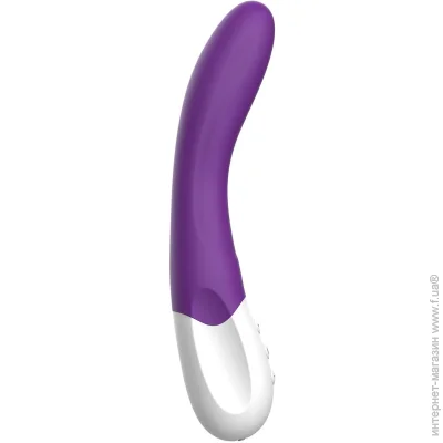 Liebe ³  G Bend It Rechargeable Purple, 10 ,  ,   (SX1598)