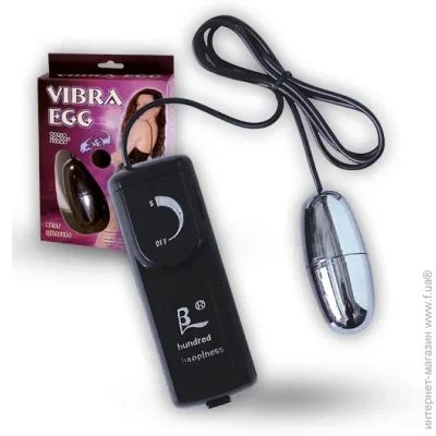   Lybaile  Silver Vibrating Egg (6603BI0001~77)