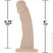  Addiction      Edward 6 Curved Dong,    (SO5582-02)