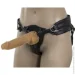    Naked ADDICTION Dominic 9 Caramel,  ,  4,2  (SX2237)