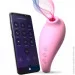   Adrien Lastic Revelation Pink +  APP (SO8533)