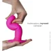  Adrien Lastic    Hitsens 4  (AD24041~22)