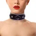         Art of Sex-Collar Ring (SO5179)