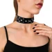 Art Of Sex         - Jenna Collar,  (SO6699-02)