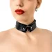  Art Of Sex -   - Martina Collar with ring,  ,   (SX0517-02)