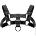 Bedroom Fantasies   : Bruno Bondage Harness,  (SO8828-02)