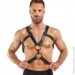 Bedroom Fantasies  Rocco Masculine Masterpiece - Black (SO8827)