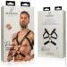 Bedroom Fantasies  Rocco Masculine Masterpiece - Black (SO8827)