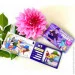Bombat Game      "Dream book" (SO4309)
