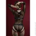 Feral Feelings Ƴ  Body Harness Black (SO8249~22)