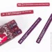 FGS (Fun Games Shop)   FunGameShop   ĳ.  (18+ ) (FGS19)