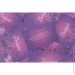   FGS (Fun Games Shop)    +  : ĳ  (UA) (SO8919-02)