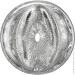  Fleshlight Quickshot Stoya, ,      (SX0680)