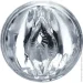 Fleshlight  Quickshot Riley Reid (F10997-02)