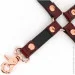  Liebe Seele  Wine Red Hogtie (SO9459)