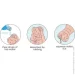 Lybaile  Vagina Masturbator (6603BM0248-07)