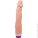 Lybaile   Vibrator  (6603BW0414~77)