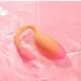   Magic Motion - Flamingo Max Orange (SX2193)