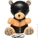 Master Series   HOODED Teddy Bear      , 23x16x12  (SO9815-02)