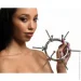   Master Series   Oculus Stainless Steel Anal Explorer (SX1187-02)