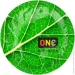  One Color Sensations - with nature (Emerald) 1  (SX0766-02)
