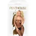  Penthouse       Firecracker, ,  SL (4061504005089)