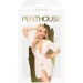 Penthouse  ,      Hypnotic Power  XL (SO5272-02)