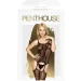 Penthouse        Miss Curvy  S/L (SO4388-02)
