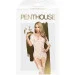  Penthouse-Sugar Drop S-L (SO4393)