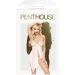 Penthouse -       Sweet Beast  S/M (SO5300-02)