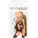 Penthouse     Wild virus  S/L (SO4400-02)