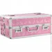 Powerbullet    - BMS Factory - Large Lokable Vibrator Case Pink (SO8900)