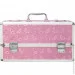 Powerbullet    - BMS Factory - Large Lokable Vibrator Case Pink (SO8900)