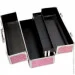 Powerbullet    - BMS Factory - Large Lokable Vibrator Case Pink (SO8900)