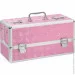 Powerbullet    - BMS Factory - Large Lokable Vibrator Case Pink (SO8900)