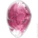 ³ Satisfyer     Cloud Dancer Red (SO8975-02)