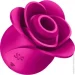 ³ Satisfyer    Pro 2 Modern Blossom,  Liquid Air (SO8776-02)