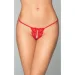   Softline Ƴ  G-String 2481  S/M/L (5591248130~77)
