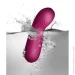 ³ Sugarboo ̳ Sugar Berry,      G,   . (SO7664-02)