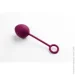 Svakom    Nova Ball Գ (SO4831-02)