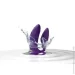  We-Vibe -   Sync 2 Purple, 10 ,   (SO8762-02)