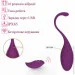 ̳  Wi-Pods ³ 10  Wo-sex Y029   . Գ