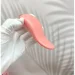 Wi-Pods  , 19      Tongue