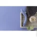 ³ Womanizer    G c   OG Lilac (SX0532-02)